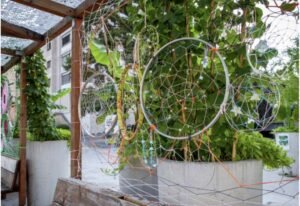 Urban Heat Island Mitigation Strategies That Can Cool US Cities