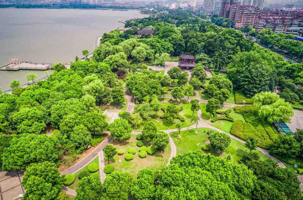 How Should Cities Maintain and Measure Their Tree Programs?